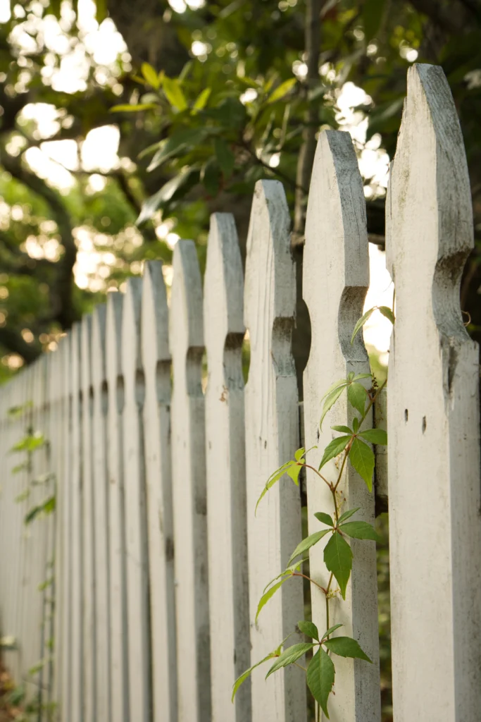 Wood Defender fence staining West Texas